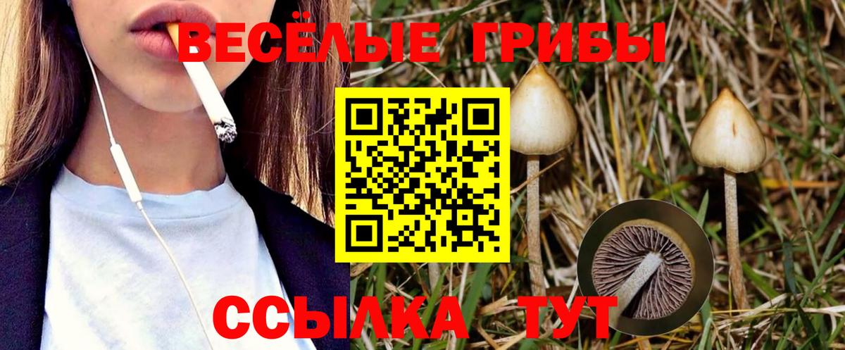 Псилоцибиновые грибы ЛСД Темрюк