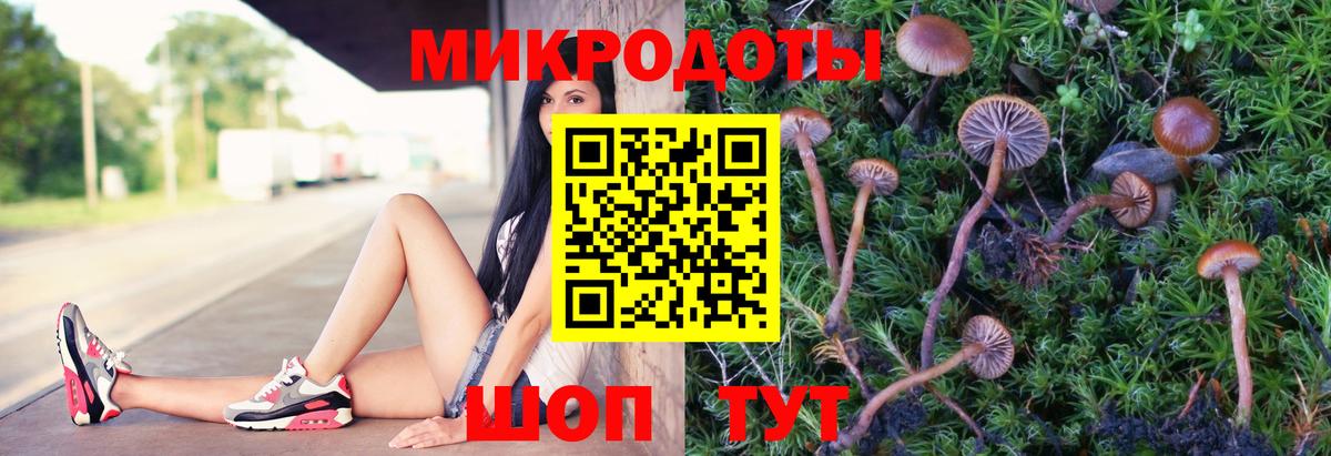 Псилоцибиновые грибы Magic Shrooms  Вход с VPN  Темрюк 